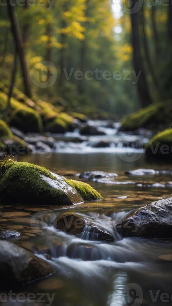 A crystal-clear river running through a dense forest, with a spotlight on an empty stone. photo