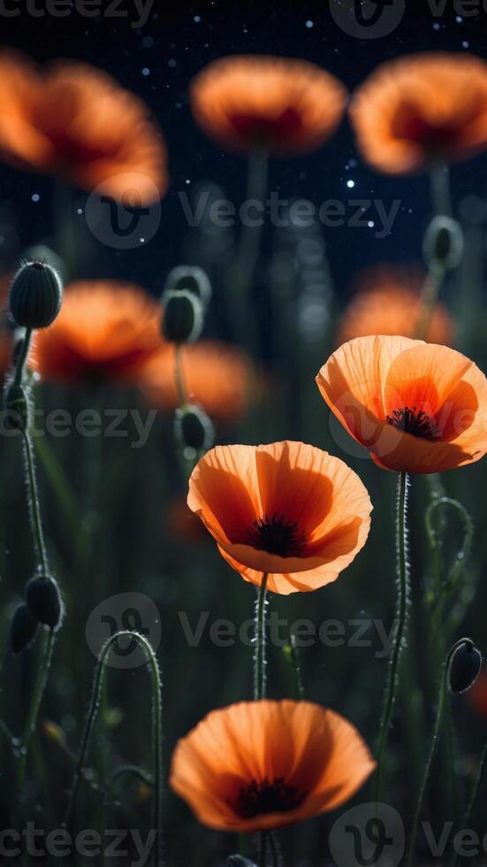 A field of glowing poppies under a midnight sky lit by a distant comet. photo