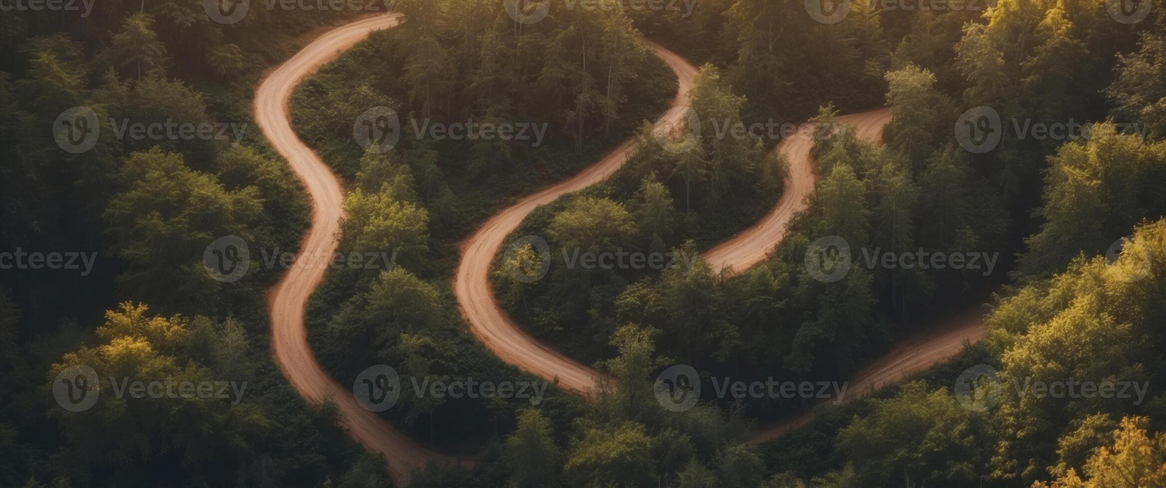 Aerial View of a Winding Dirt Road Through a Dense Forest. photo