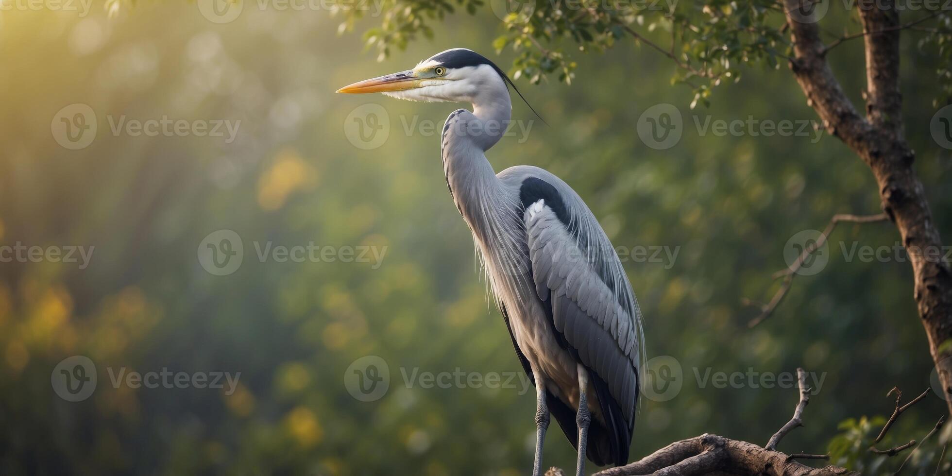 Macro shot of a Grey heron resting on a branch with green bushes in the background. photo