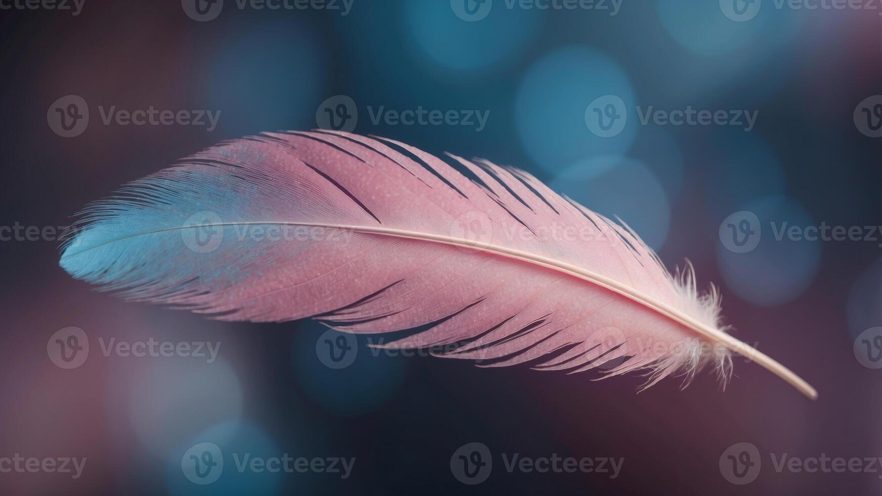 A close up of a feather with a pink and blue hue. photo