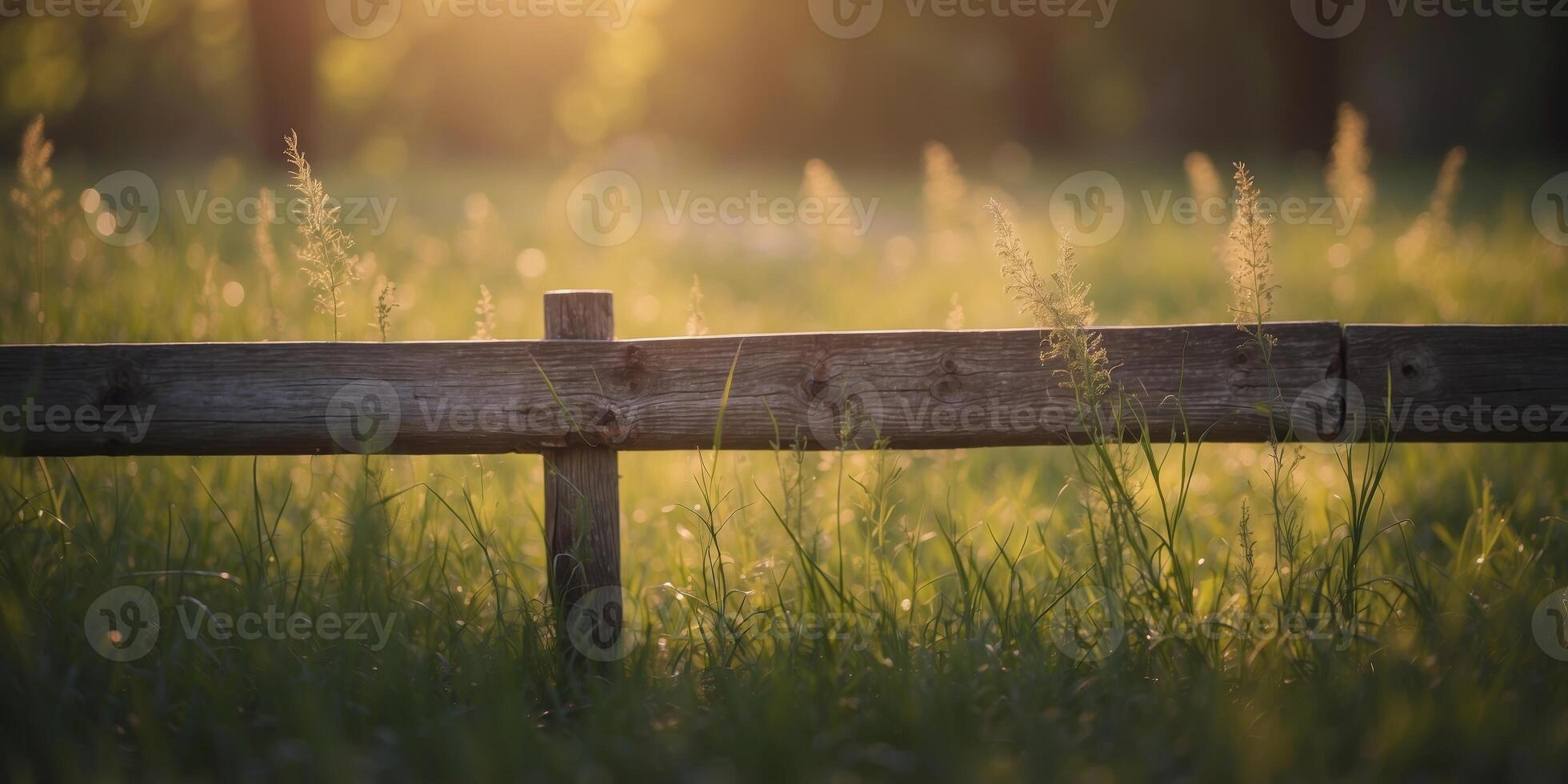 A section of wooden fence overgrown with grass and weeds. photo