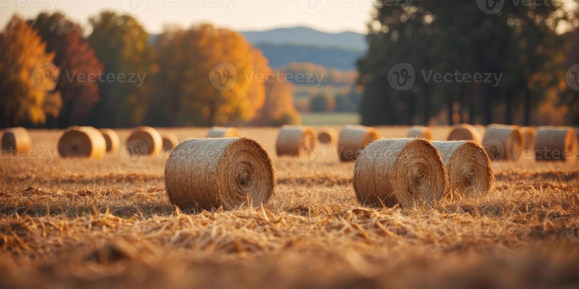 Scenic Rural Landscape with Stacked Hay Bales in Autumn Harvest Field. photo