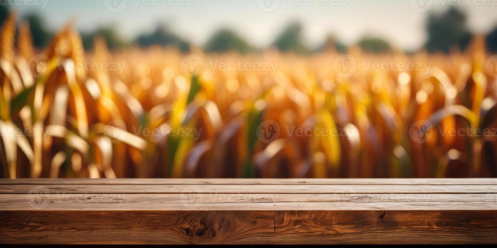 a rustic wooden table top with a blurred corn field background. photo