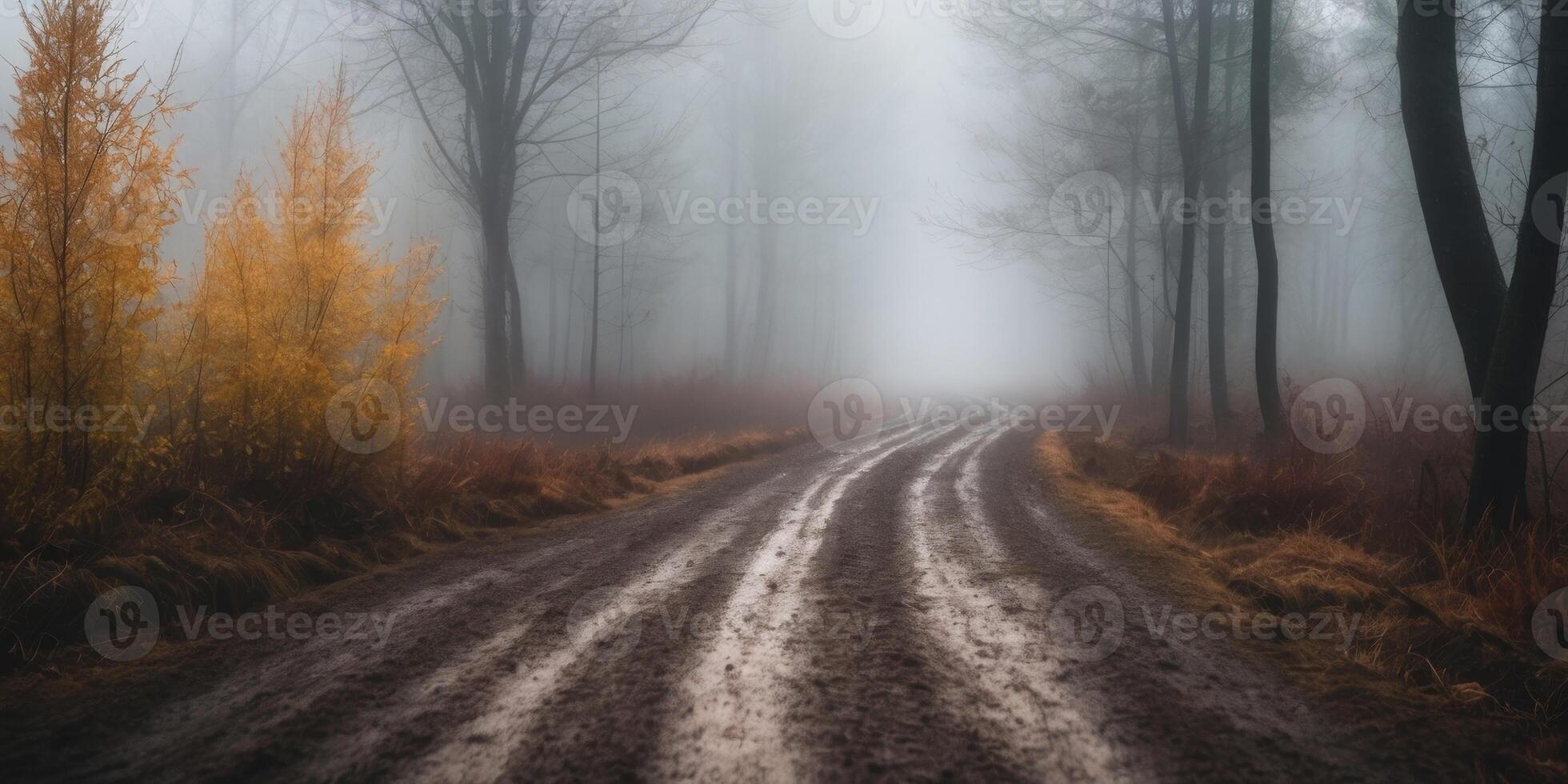 Muddy forest road disappearing into the fog on a gloomy day. photo