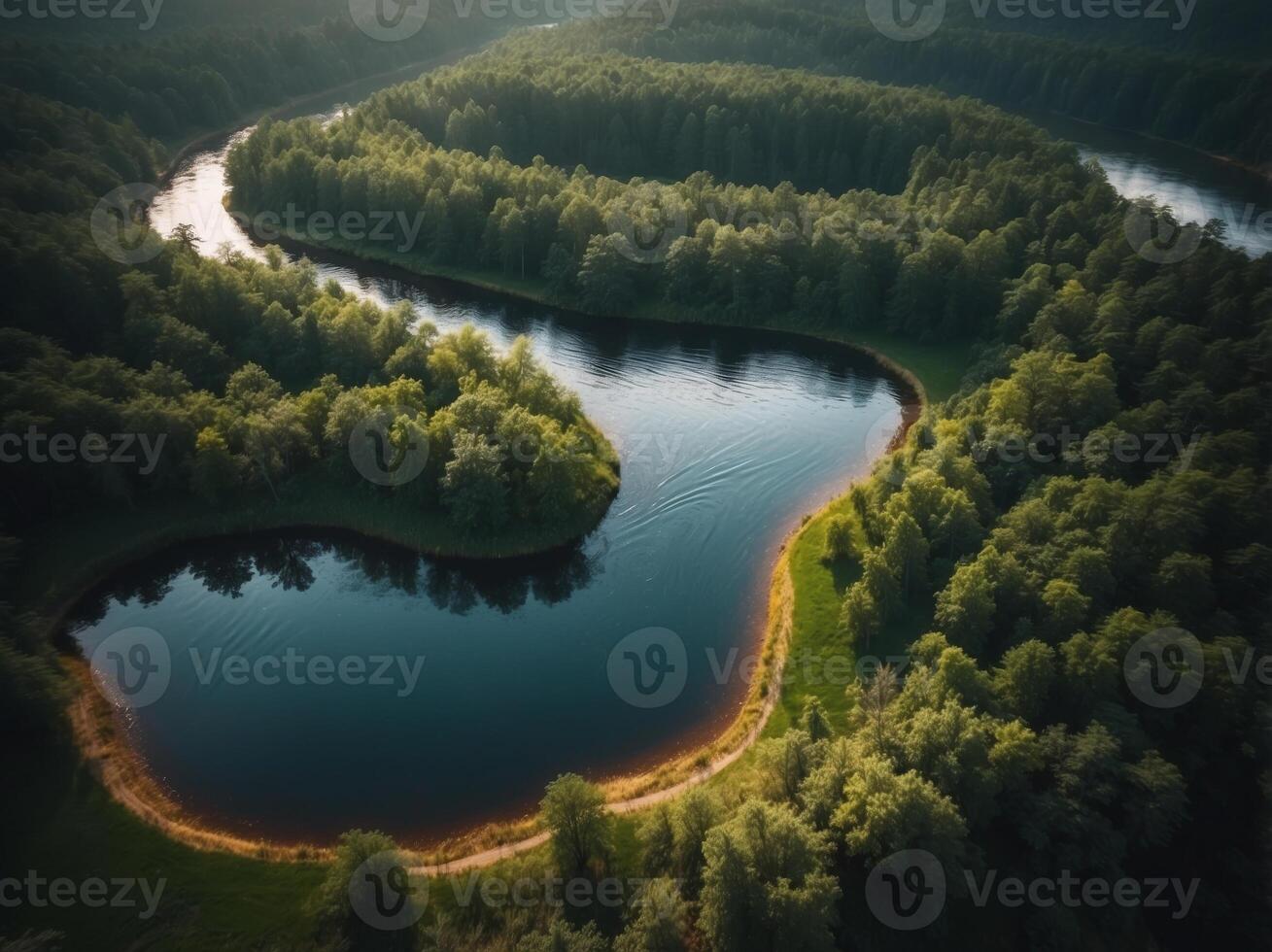 Aerial View of a Serene River Winding Through a Lush Forest. photo