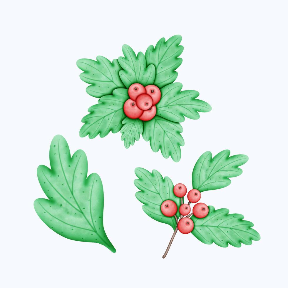 Hand-Drawn Watercolor Holly Branches and Berries for Christmas Art and Designs vector