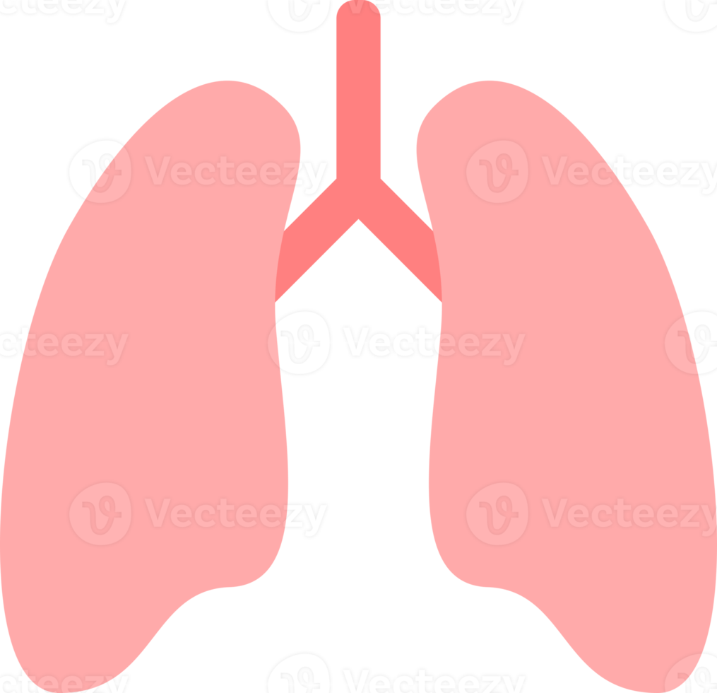 lungs medical icon png