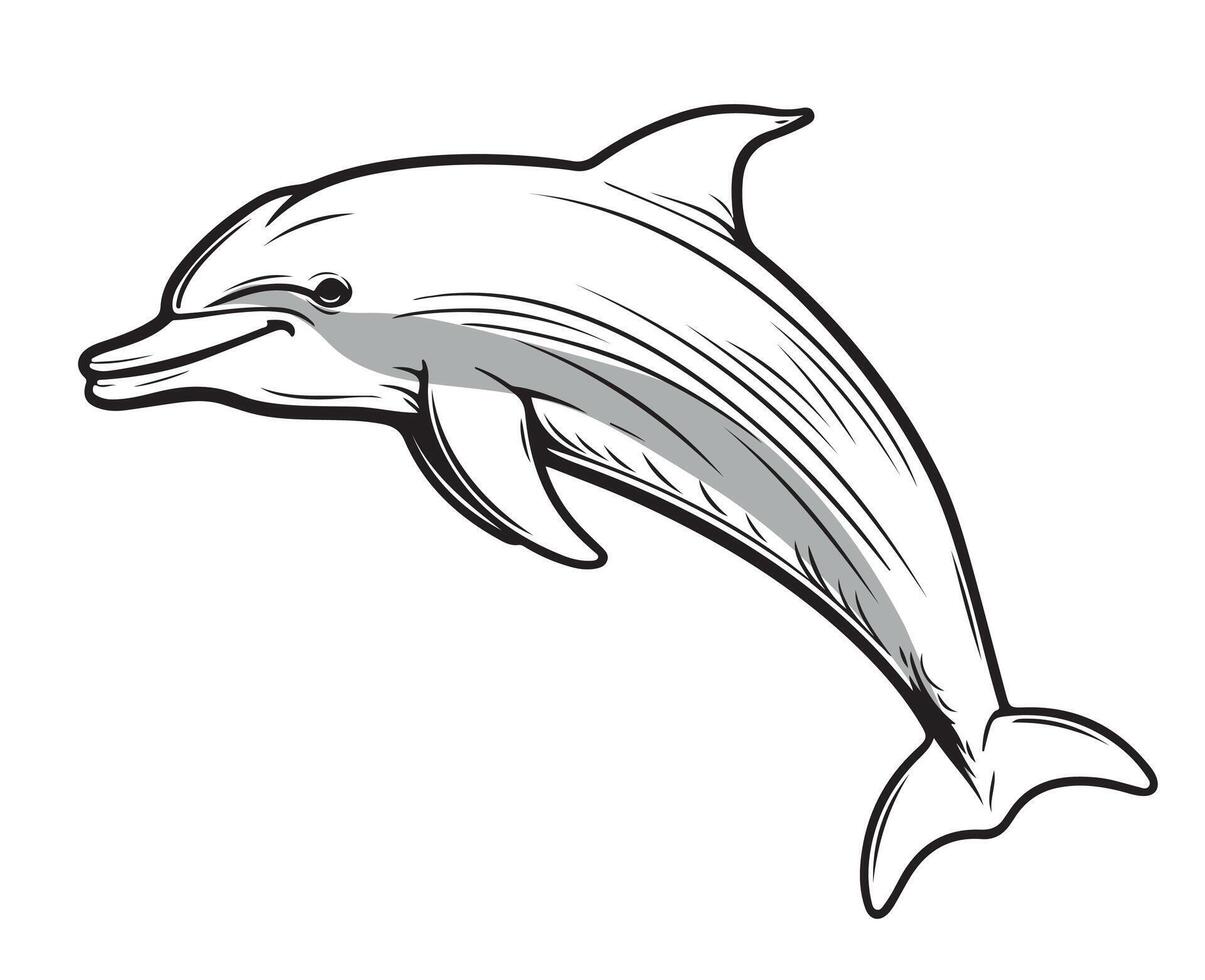 Dolphin hand drawn sketch illustration vector