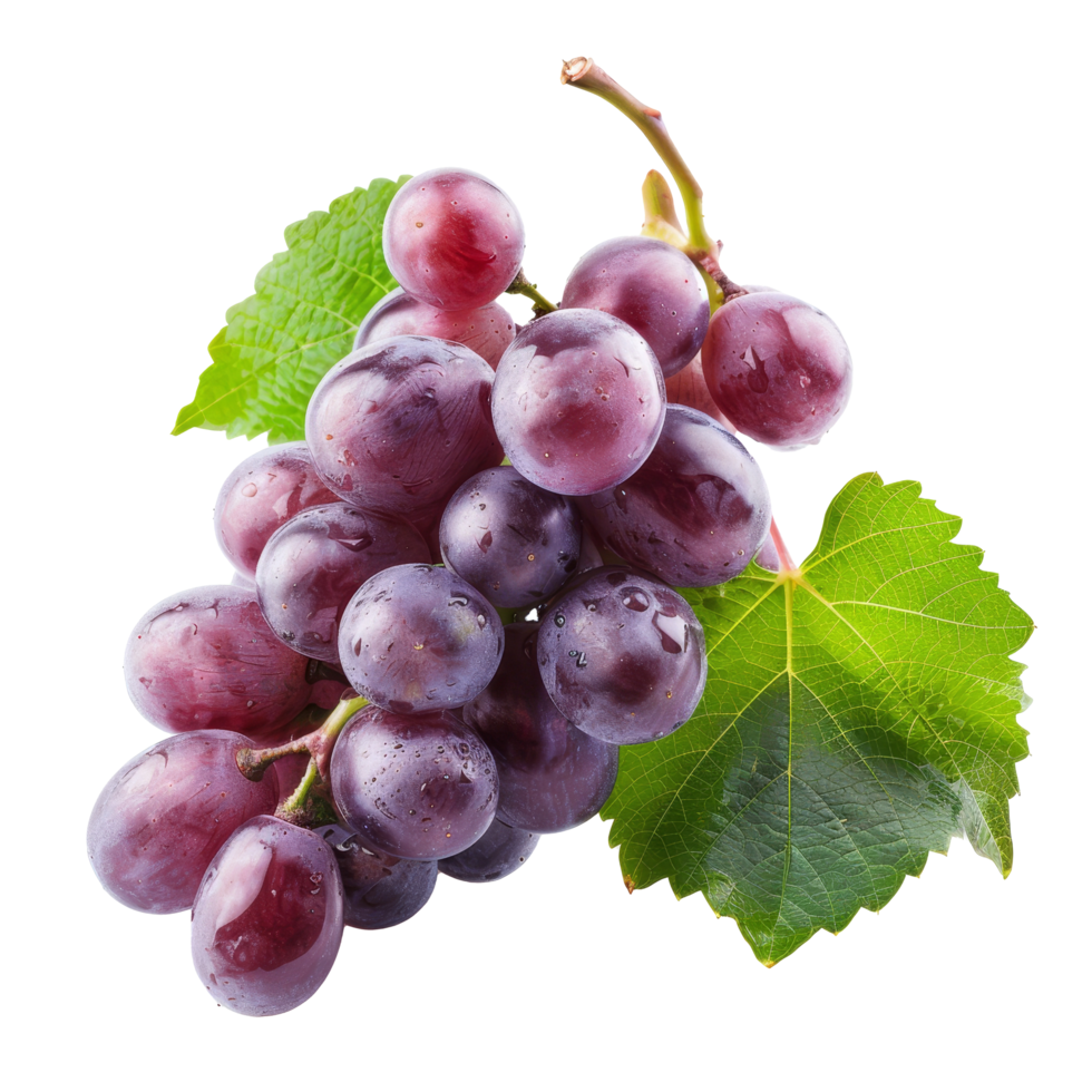 Fresh purple grapes with dew drops and green leaves on a transparent background showcasing their juicy texture and natural beauty png