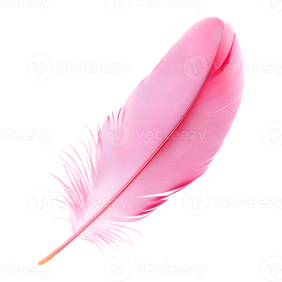 a pink feather with a transparent background and the word feather on it png