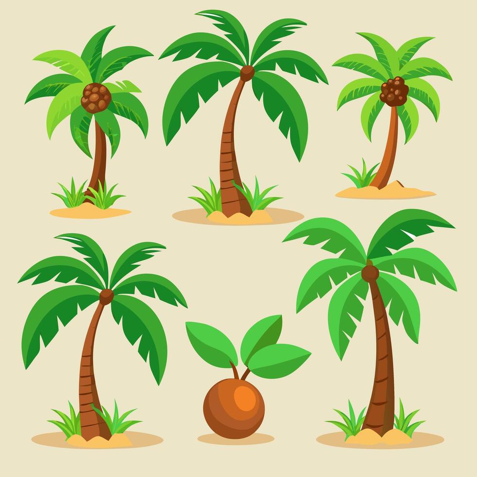tropical palm trees and coconut trees on the beach vector
