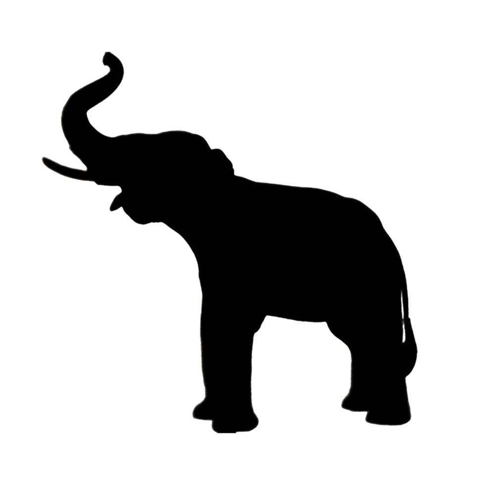 Elephant Illustration - Elephant Drawing - Elephant Icon png