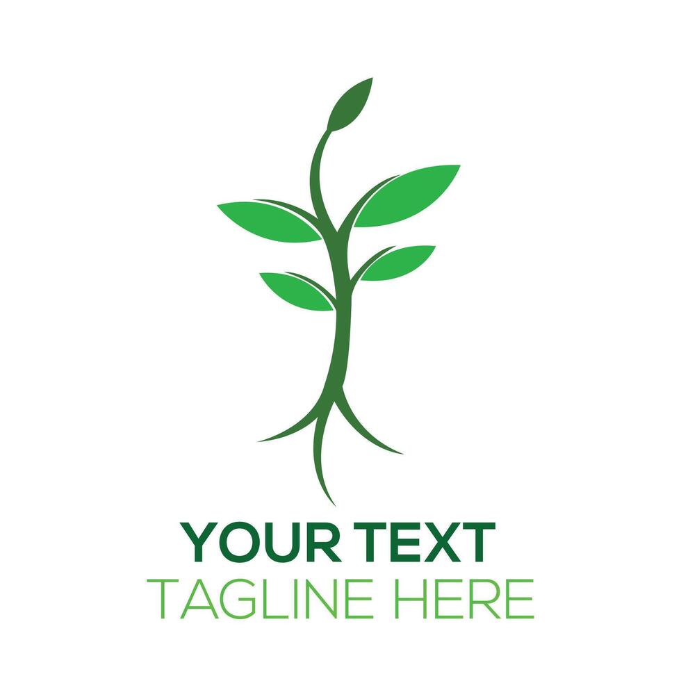 Tree and leaf logo vector