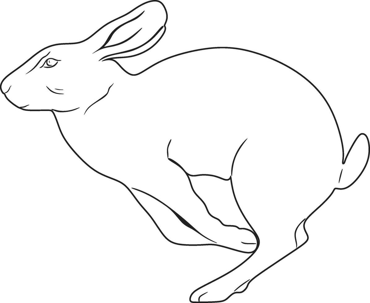 Rabbit line art black and white design vector