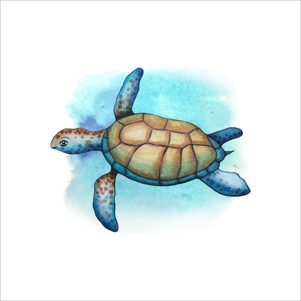 Hand drawn sea turtle in blue and brown tones, watercolor vector