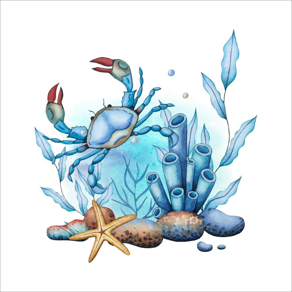 Sea composition with corals, stones, starfish, crab. Underwater world.Watercolor illustration vector