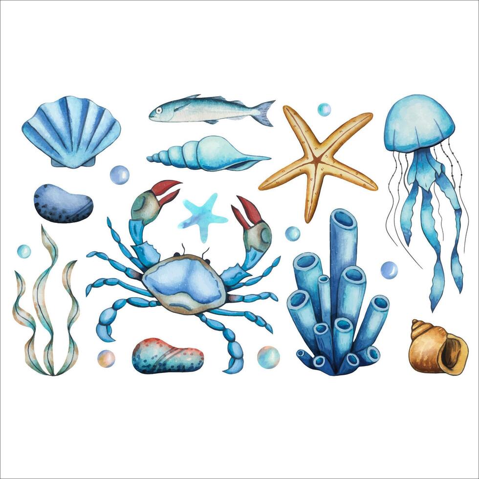 Set with sea animals, crab, fish, jellyfish, algae, shells, starfish. Underwater world. Watercolor illustration vector