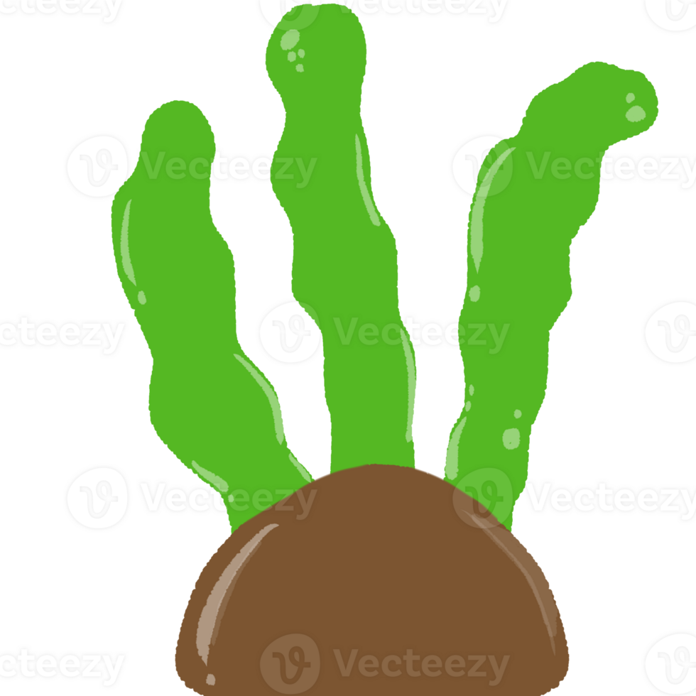 Seaweed in the sea png