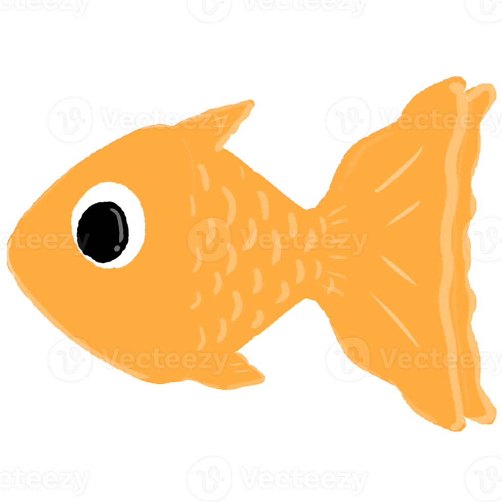 Beautiful shiny goldfish png
