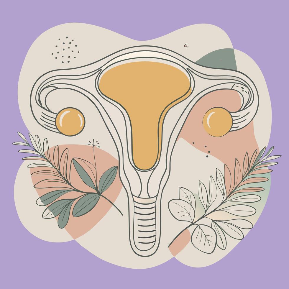 The uterus is surrounded by leaves and flowers vector