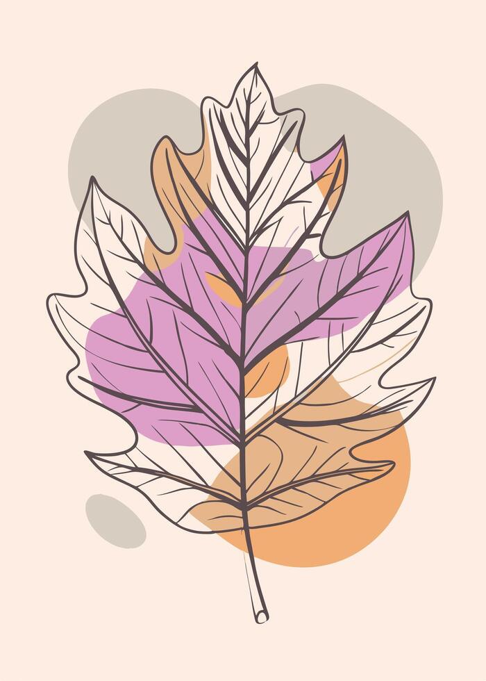 Autumn leaf illustration vector