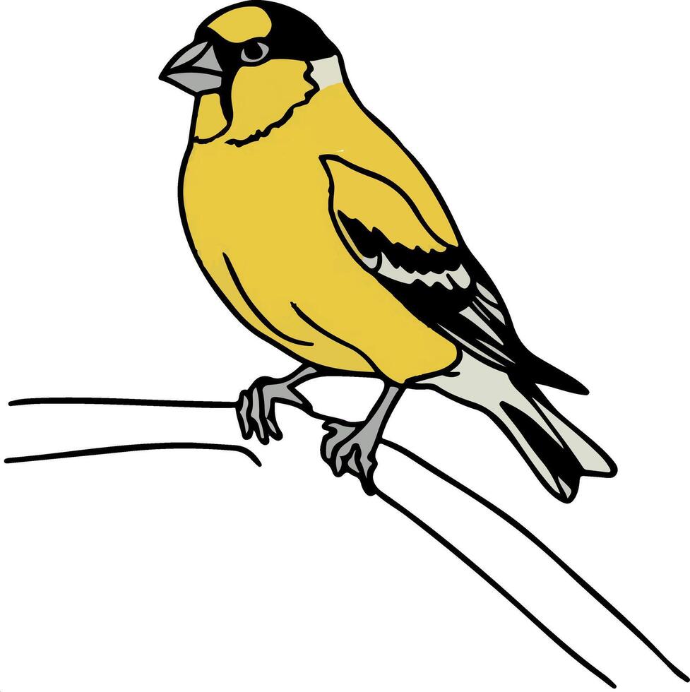 A Goldfinch on a branch vector