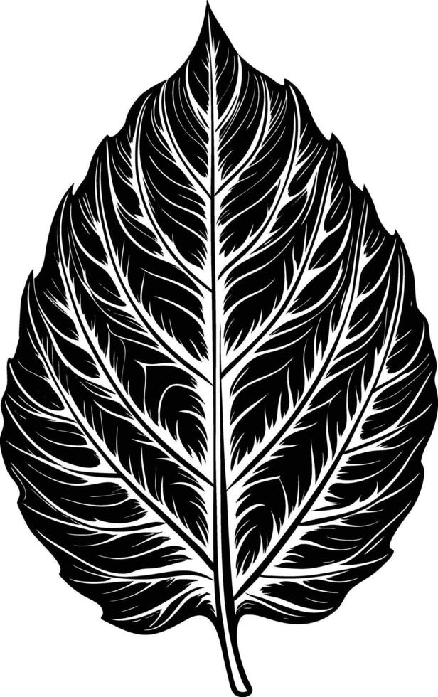 A black and white leaf on a white background vector
