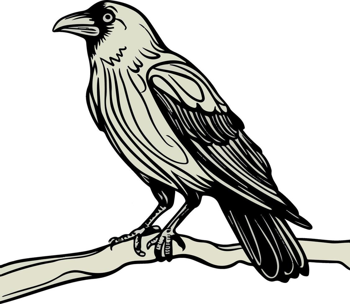 A crow sitting on a branch vector