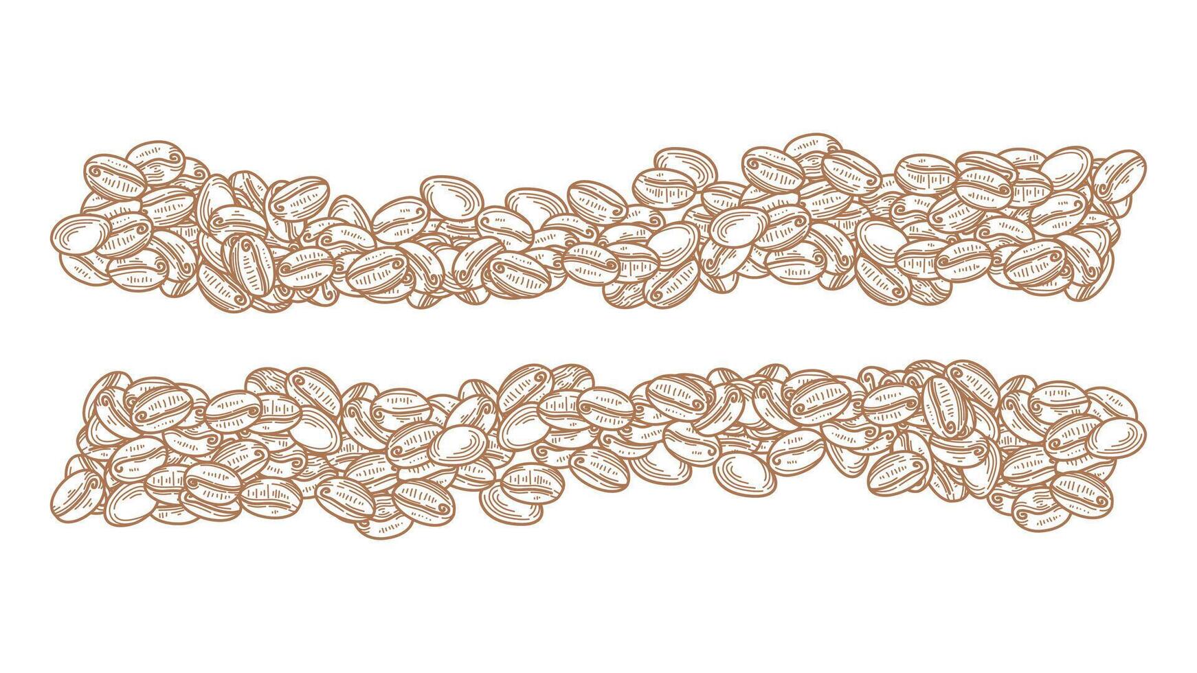 coffee beans background. Coffee beans in frame, border. Coffee beans isolated on a white background. Coffee Beans Illustration for packaging. vector