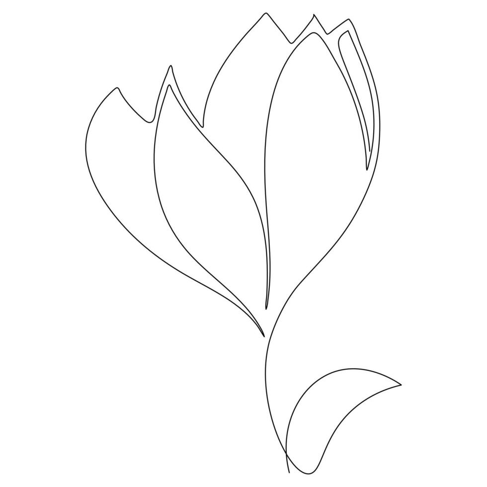 Minimalist line drawing of a tulip flower with distinct petals and a leaf, perfect for coloring pages or elegant designs vector