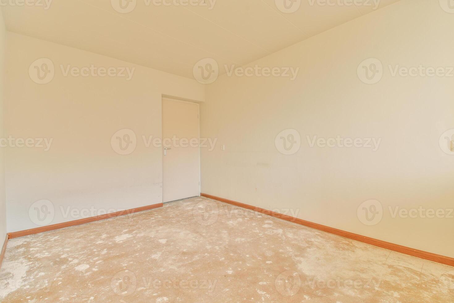 Empty room with white walls and brown carpet photo