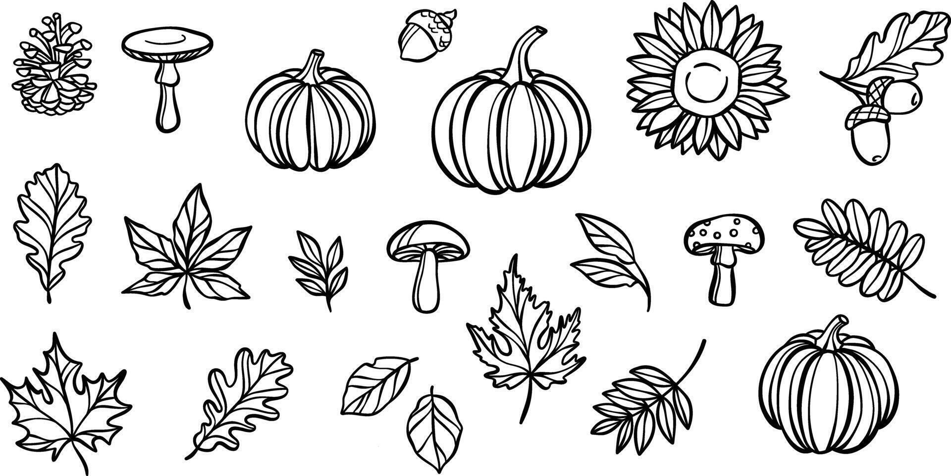 Autumn line art doodle elements, hand drawn leaf illustrations, isolated vector