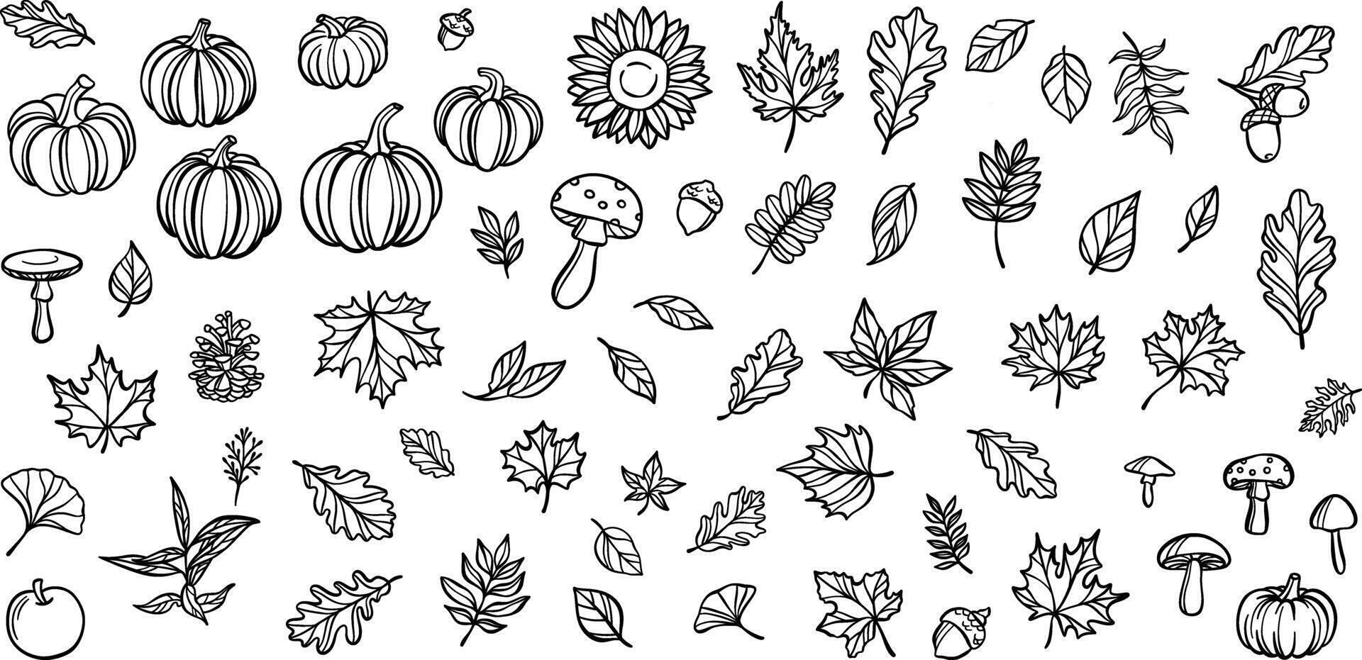 Cute autumn doodle elements, clip art illsutration set with leaves and pumpkins, isolated vector