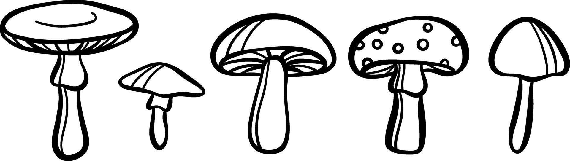 Mushroom doodles, line art illustration set, isolated clip art collection vector