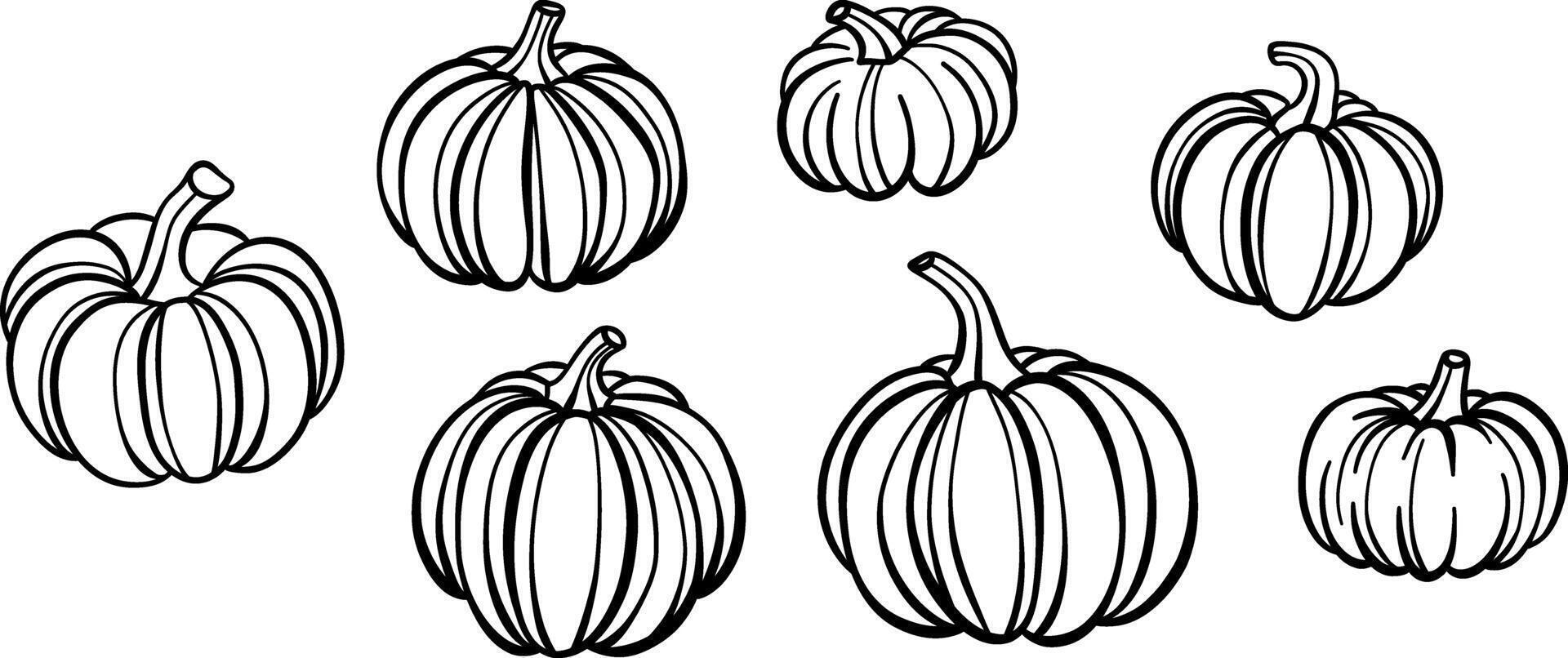 Pumpkin line art illustration, hand drawn doodle, autumn decorative clip art elements vector