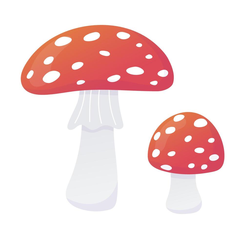 Set of fly agaric cartoon illustration. Poisonous mushroom. Isolated on white. vector