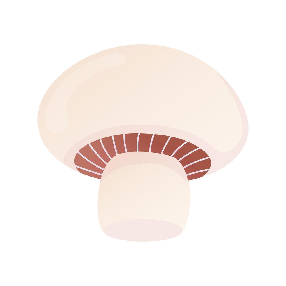 Champignon cartoon illustration. Edible mushroom. Isolated on white. vector