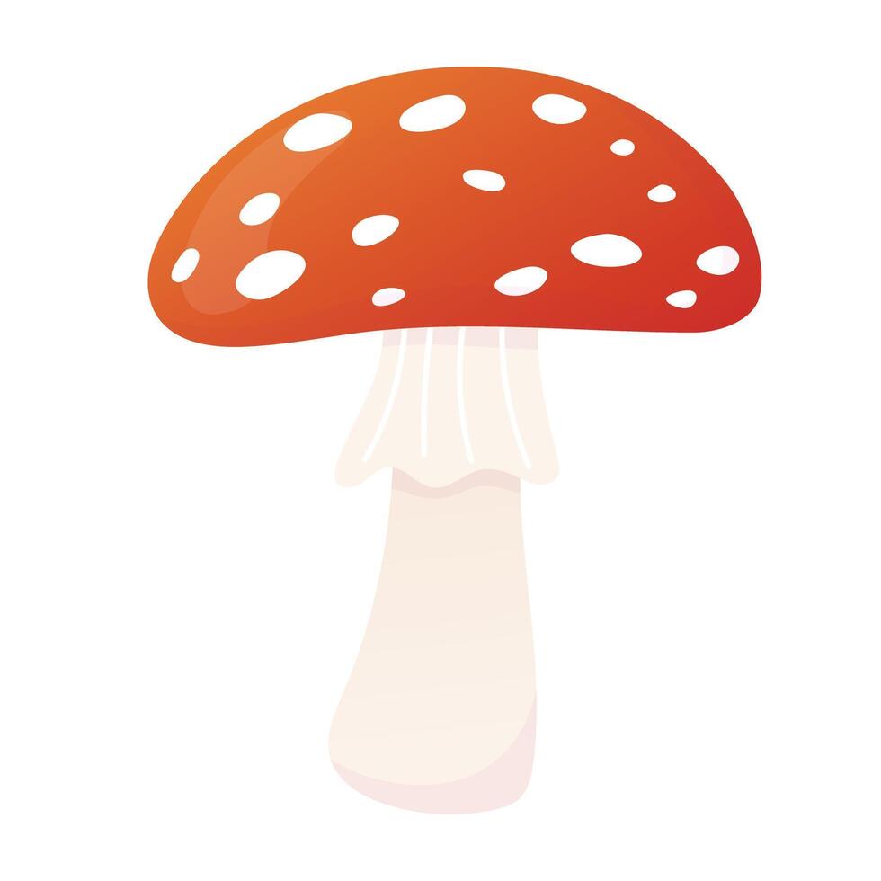 Fly agaric cartoon illustration. Poisonous mushroom. Isolated on white. vector