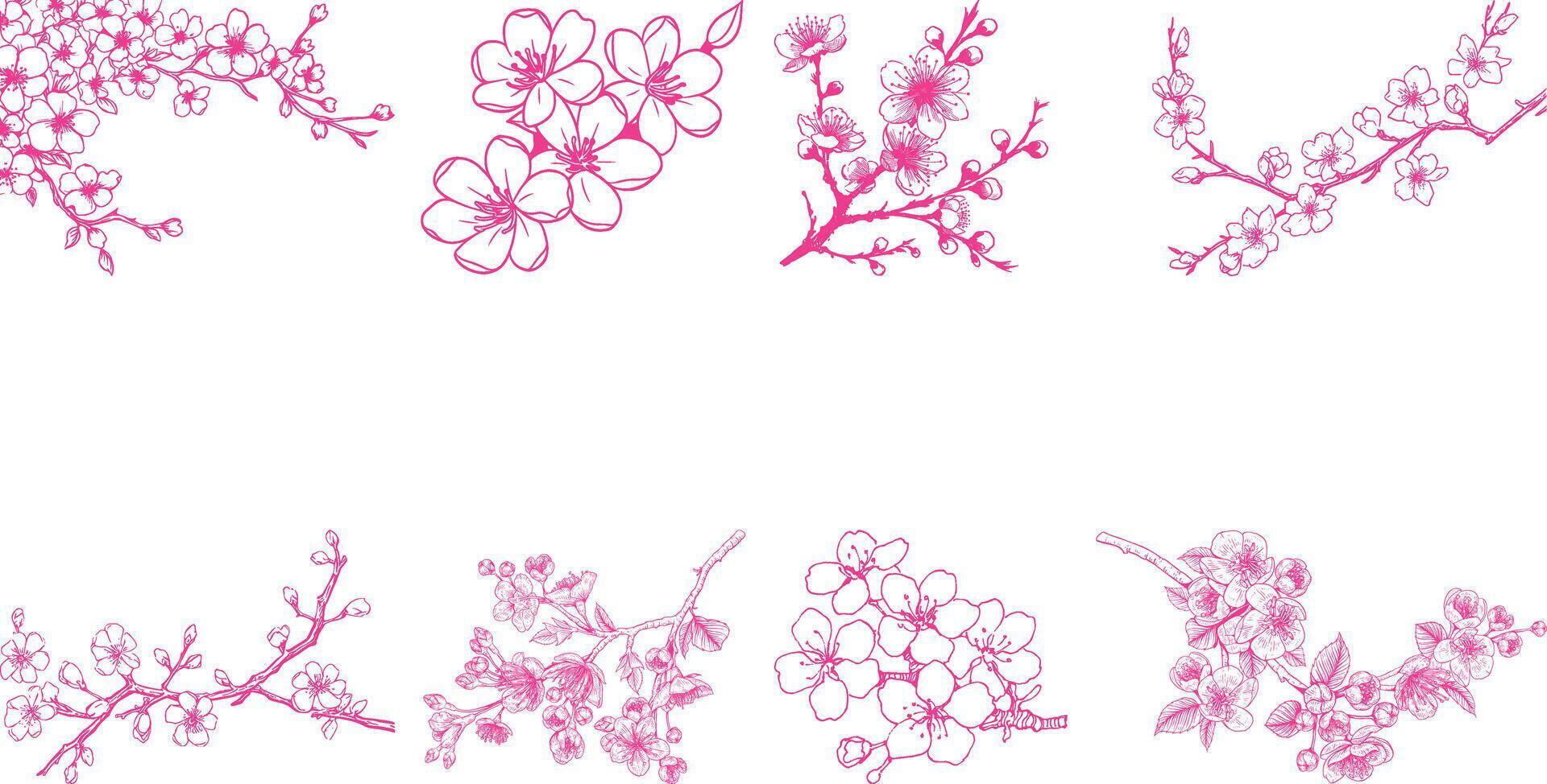 Japanese cherry icon set collection vector