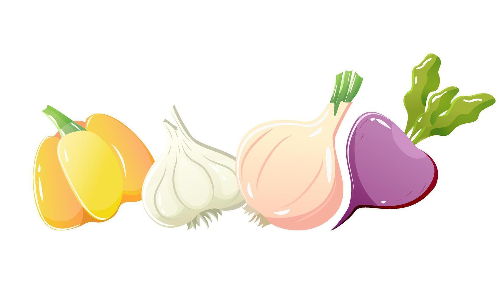 Detail vegetables on white background. Set of groceries vegetarian food elements vector