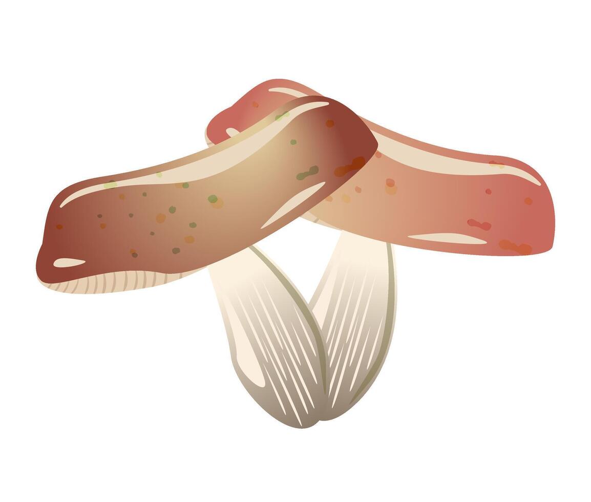 Boletus mushrooms two. champignon mushroom on dark background. illustration of brown mushroom. Seasonal food vegetarian vector