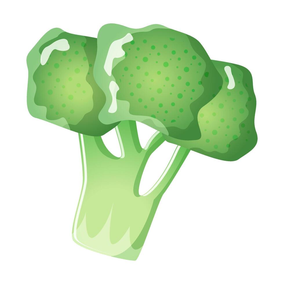 Green fresh broccoli vegetable isolated on white background. Healthy organic food concept . Calabrese broccoli icon. illustration of vegetables in flat style vector