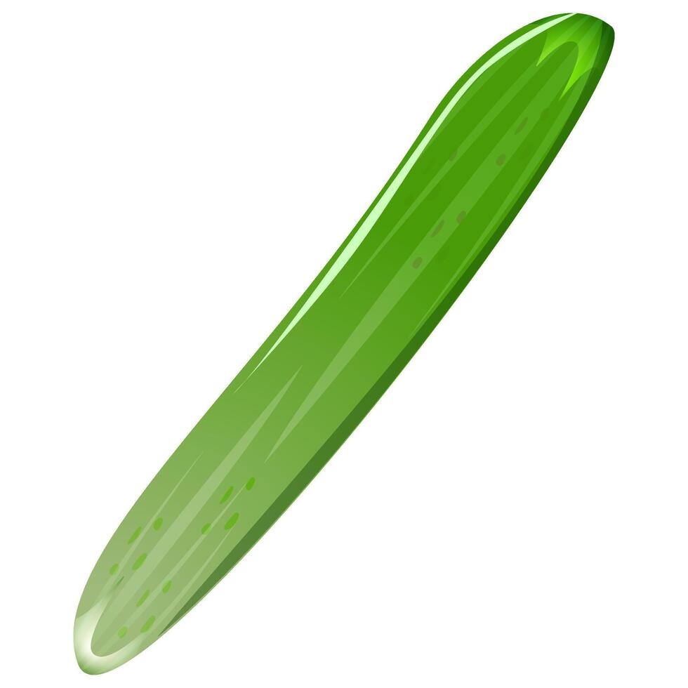 Green cucumber isolated on white background. Fresh vegetable. Healthy Veggie in flat style vector