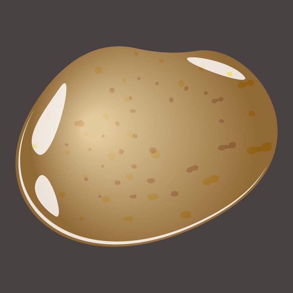 Potato vegetable isolated on black background, graphic icon drawing, fresh farm agriculture food. Clean round brown potato with texture vector