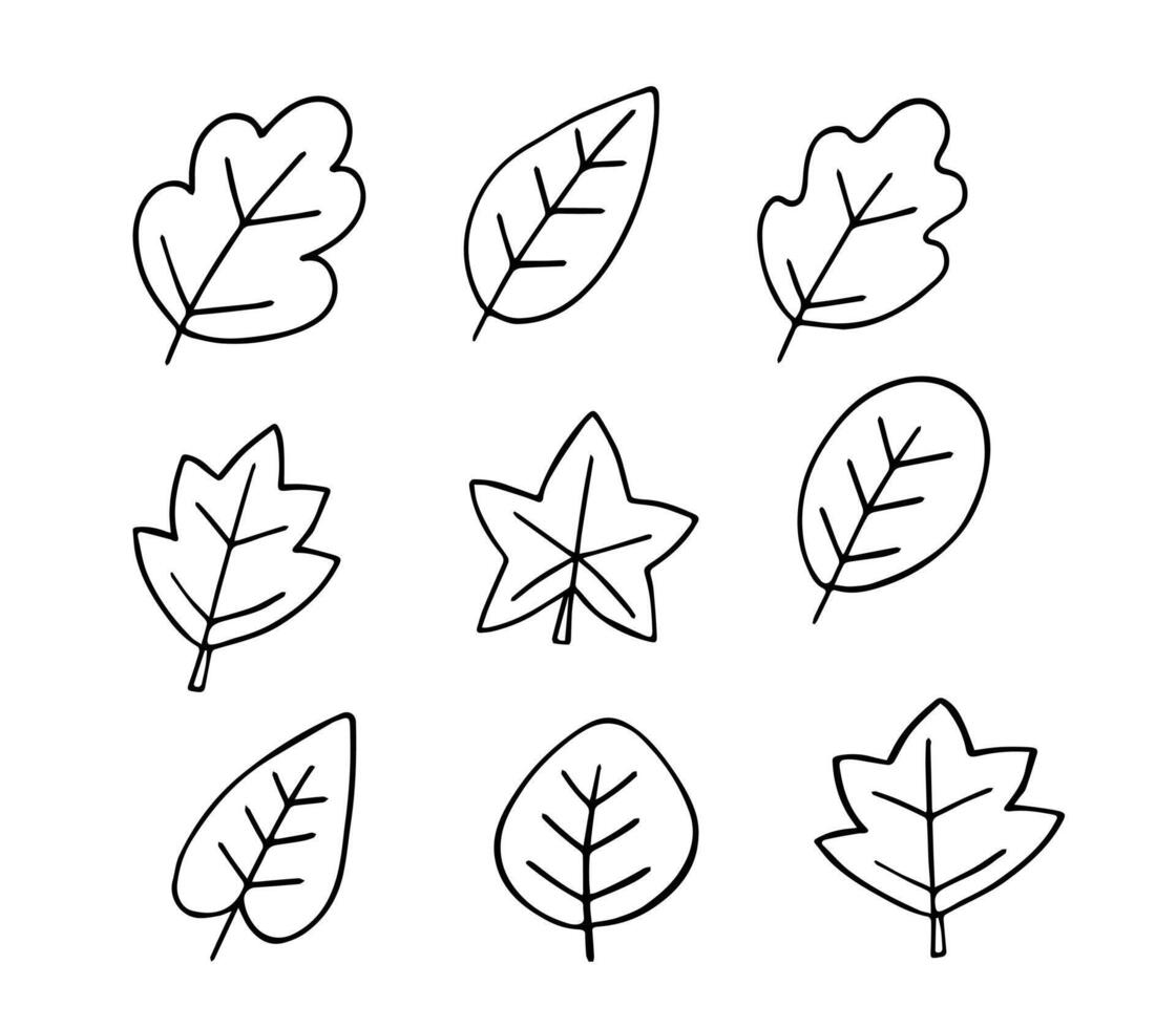 Autumn leaves and berries doodle set. Hello Autumn elements leaves, herbs, vector