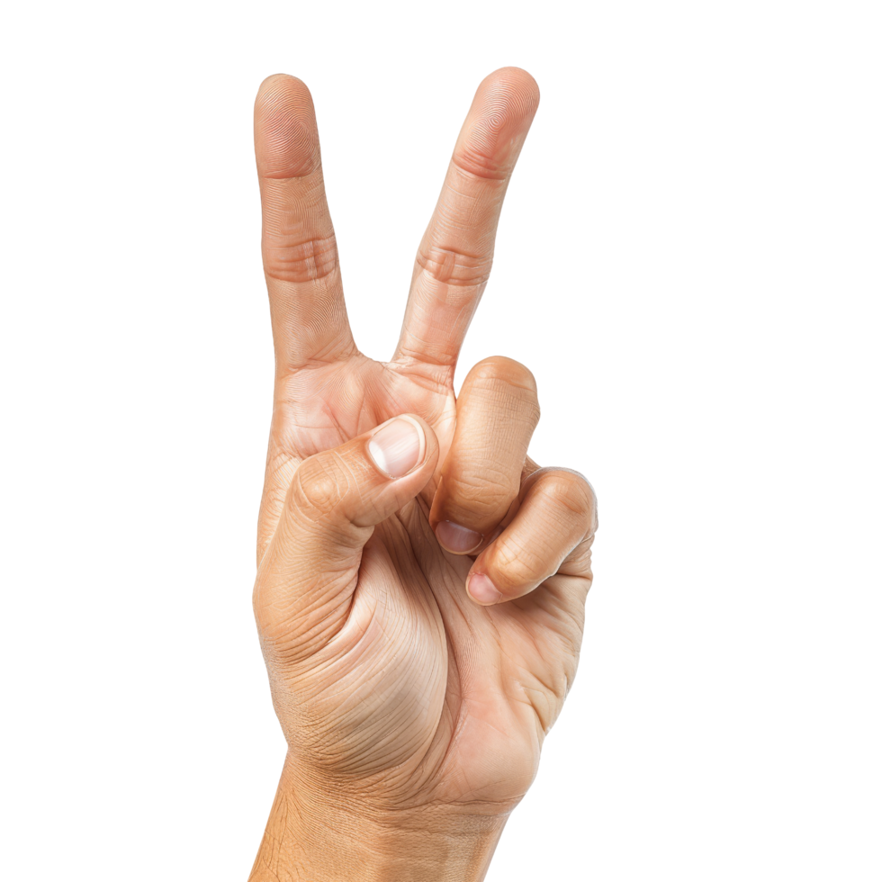 Hand Gestures, Peace Sign, Victory, Two Fingers, Hand png