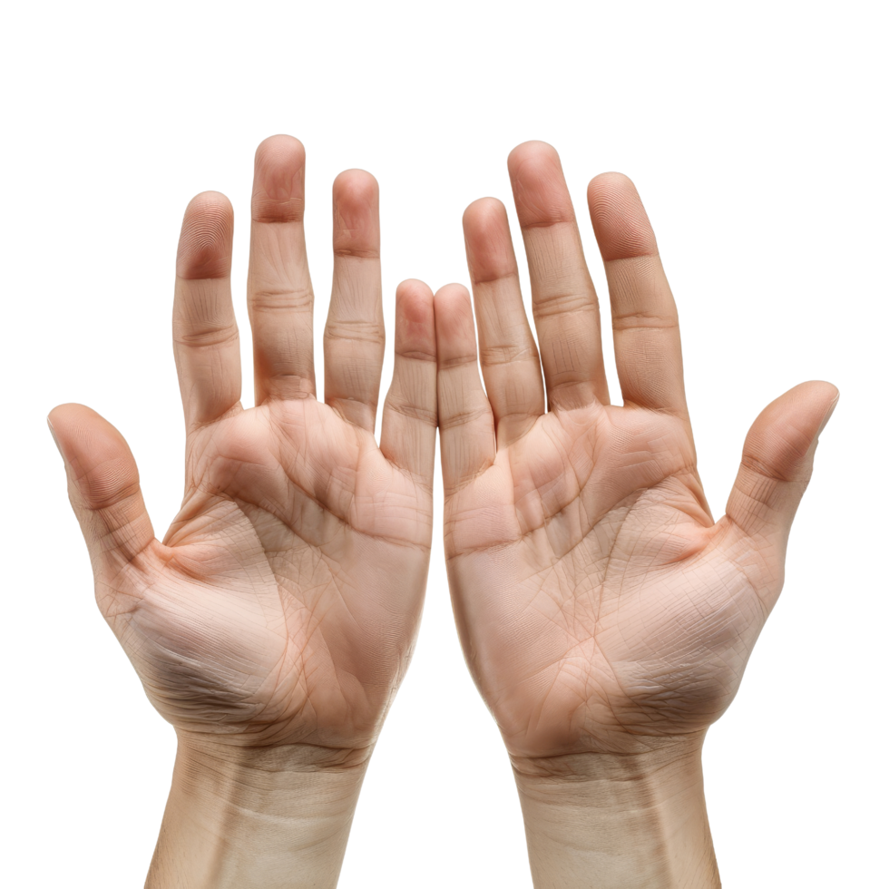 Open Hands Isolated png