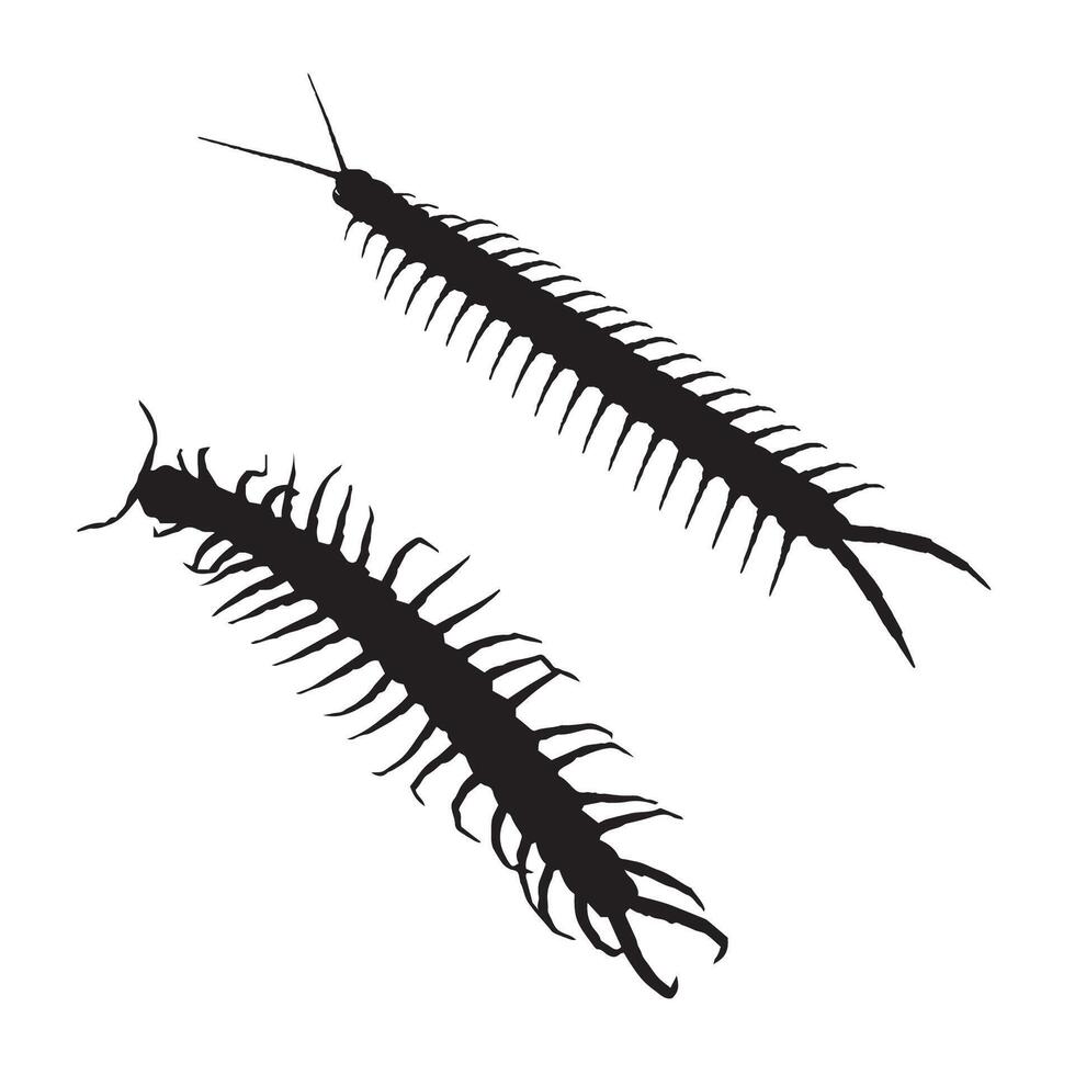 Centipede Silhouette Illustration vector