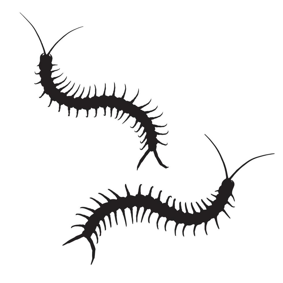 Centipede Silhouette Art vector